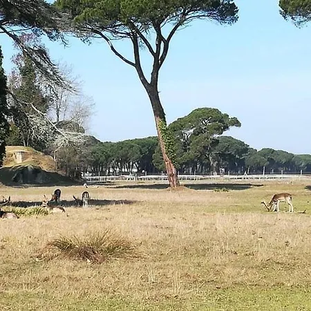 Appartement I Levrieri Venezia Torre del Lago Puccini