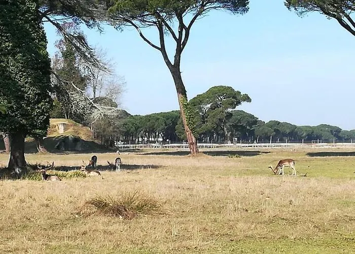 Διαμέρισμα I Levrieri Venezia Torre del Lago Puccini